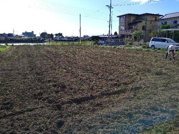 圃場での採土作業の様子
