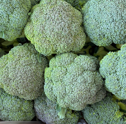 大濱屋農園の様子 3