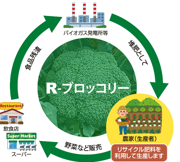 食品残さを肥料に利用しブロッコリーを生産・販売するリサイクルの仕組み